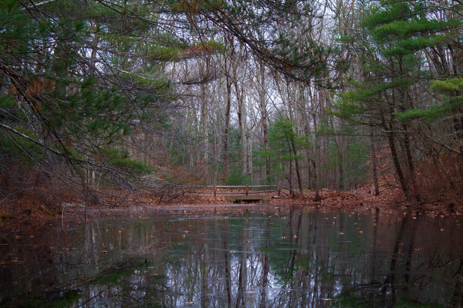 Dover taxi to Logan Dover Taxi to Noanet Woodlands hiking trails